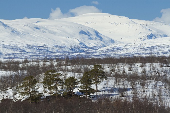 View_to_Riehppecohkka,_Jalgesvárri_and_Sørdalen_from_Abisko,_Norrbotten,_Sweden,_2015_April.jpg