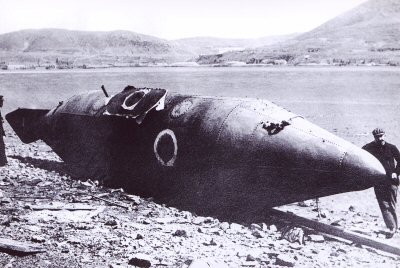 delfin2.jpg
