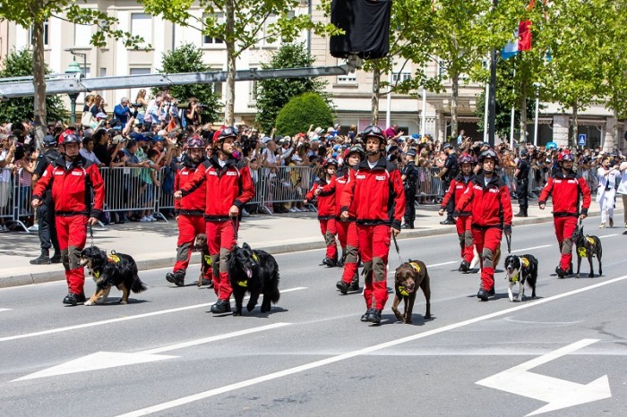 K9.jpg