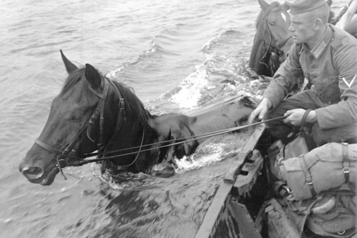 Vistula 1939.jpg