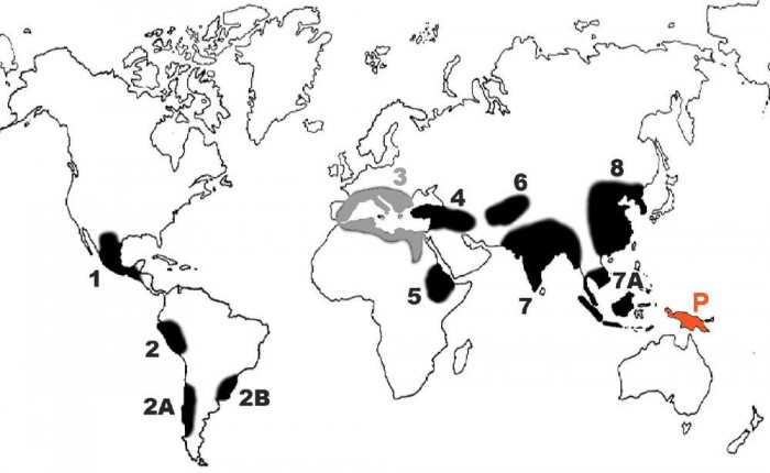 Vavilov-centers_updated.jpg