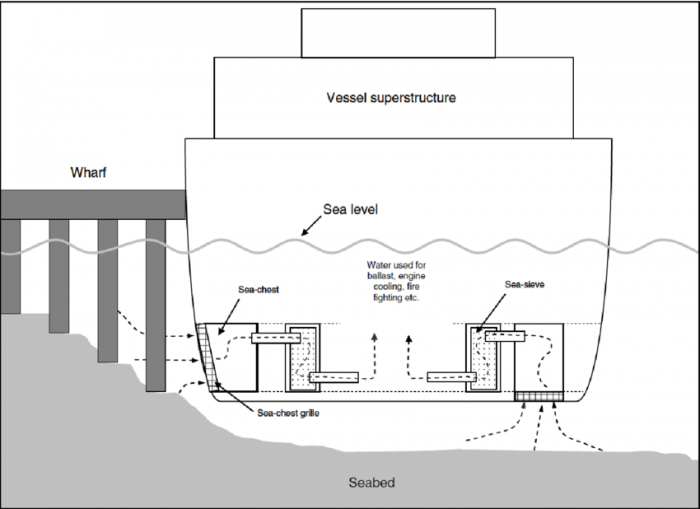 Diagram-of-vessel-sea-chests-from-Coutts-and-Dodgshun-2007.png