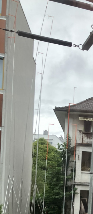 IMG_9558.jpeg