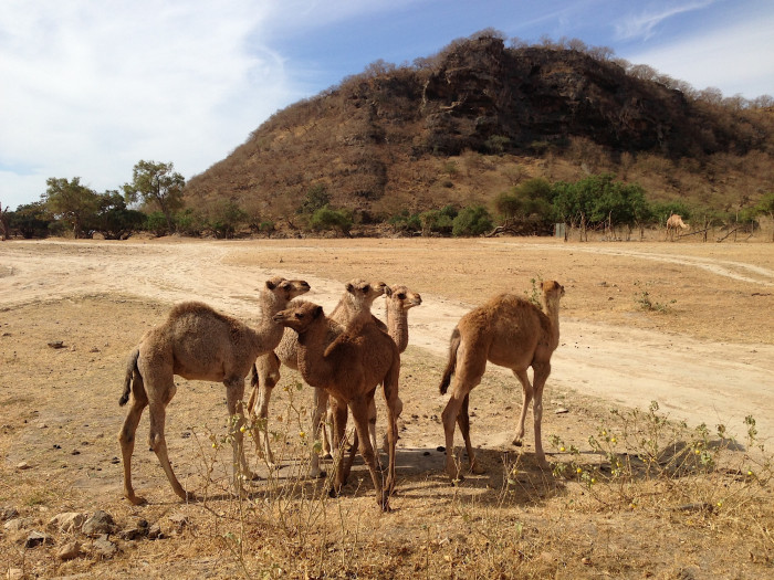 2012-12-24 10.33.36.jpg