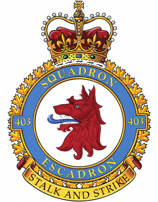 403-squadron-600.png
