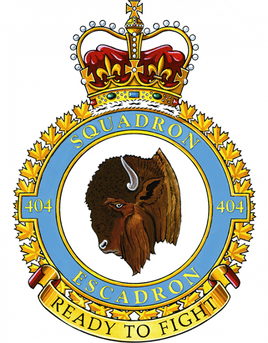 404-squadron-600.png