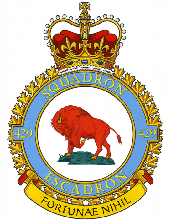 429-squadron-600.png