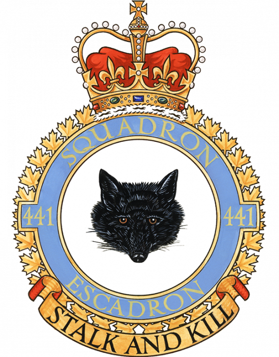 441-squadron-600.png