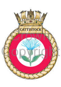 HMS_Cattistock,_Royal_Navy.jpg