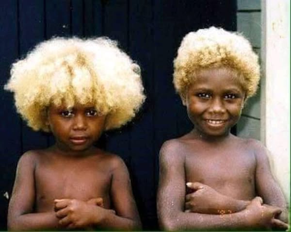 blondisar.jpg