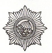 p5.jpg