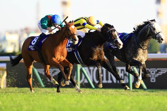 Calandagan.jpeg
