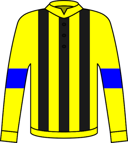 Shadai_Race_Horse.png