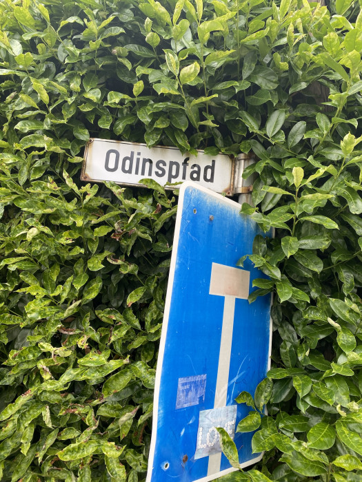 IMG_0648.jpeg