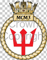 mcm3.png.jpg