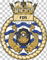fds.png.jpg