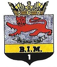 1bim.jpg