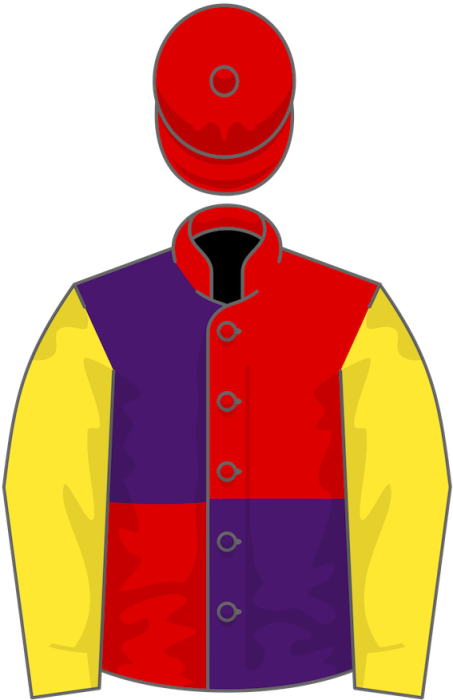 Owner_Brocade_Racing.png