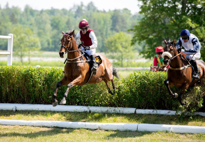 DSC_7893_Mutadaffeq_Svenskt_Grand_National_202.width-980.jpeg