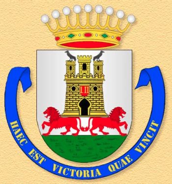 350px-Infantry_Regiment_La_Victoria_No_28_(old),_Spanish_Army.jpg