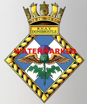 RNAYDonibristle.jpg