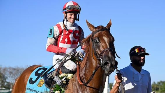 emerging_market_prat_eclipse.jpeg