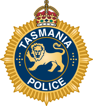 custom-logo.png
