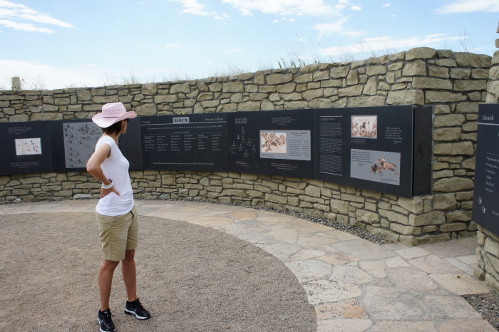 DSC02059-2.jpg