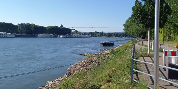 20260709_180404.jpg
