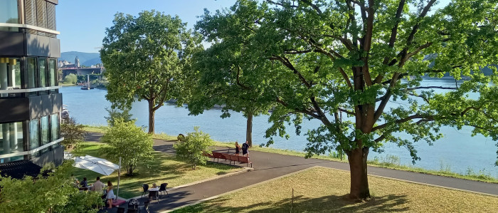 20260709_191300.jpg