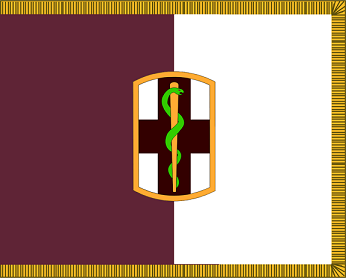 1st_Medical_Brigade_Flag.png