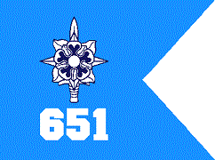 651st_MI_Company_guidon.gif