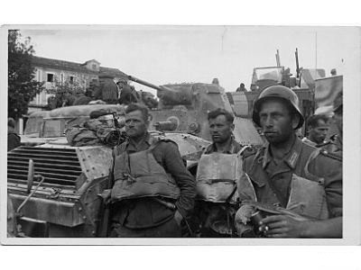 SSPolDiv-4.jpg