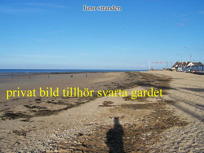 juno kopiera.jpg